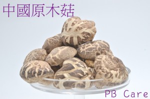 中國原木菇